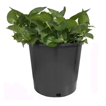 Durable Outdoor Black Pp Plastic Injection Molded Nursery Plant Pots Container for Succulents Cuttings Transplanting Home Garden