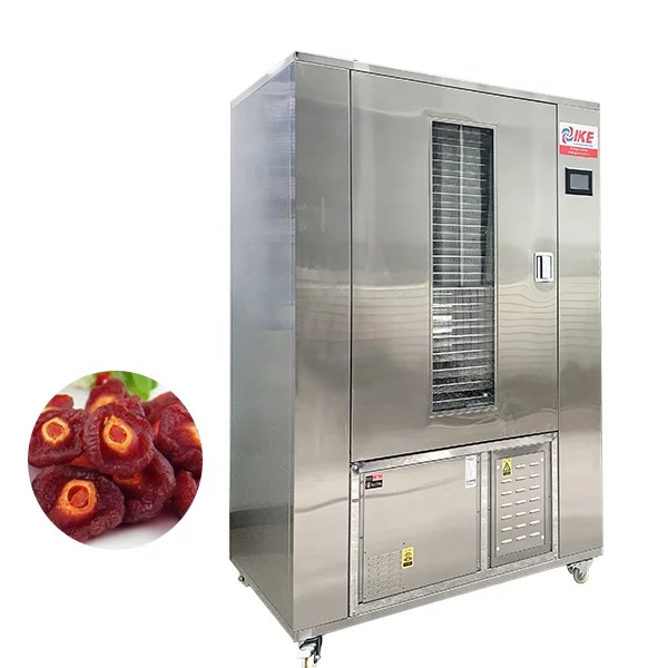 High Efficiency Food Dryer For Dried Fruit WRH-100GN