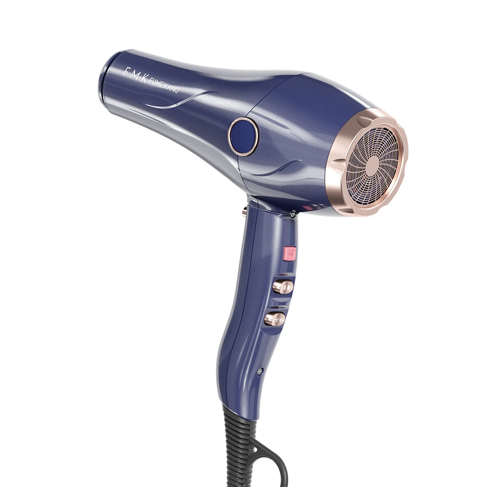 New product Wholesale high speed DC Motor Salon Equipment Ion Professional Hairdryer New Blow Hair Dryer ion