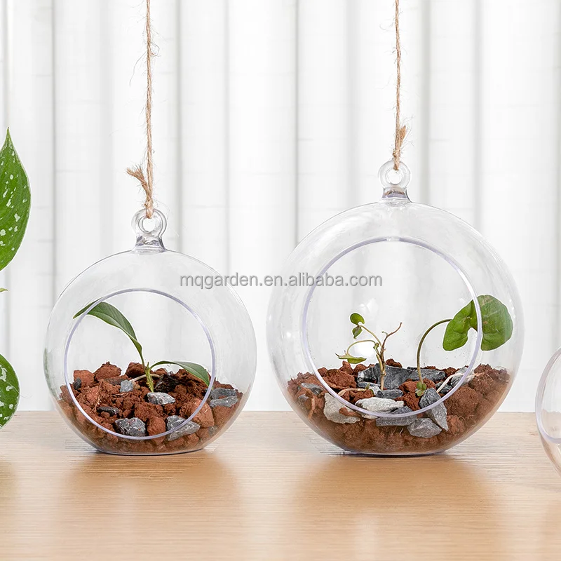 Mini Indoor Wall Planter, Clear Hanging Plastic Globe Flower Pot for Air Plant, Succulents
