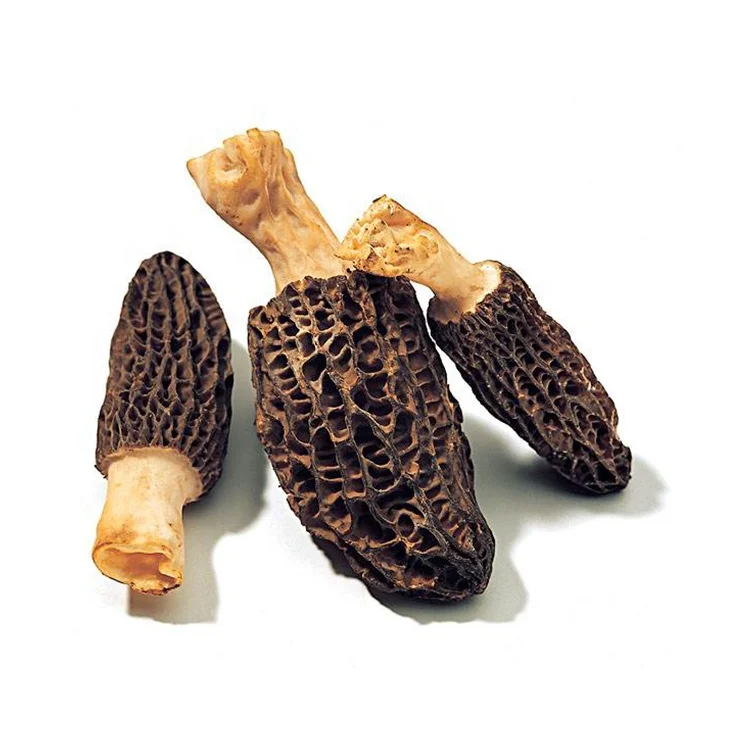 Gansu Specialty Products Rich In Nutrients Dried Black Morel Mushroom