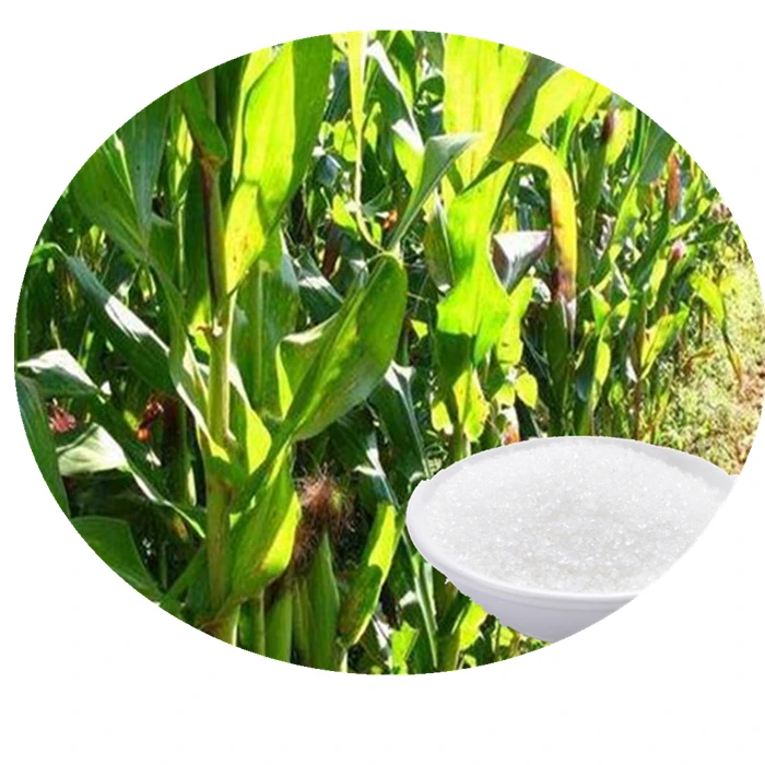 Super Absorbent Polymer for Agriculture Sodium Polyacrylate Hydrogel Plants