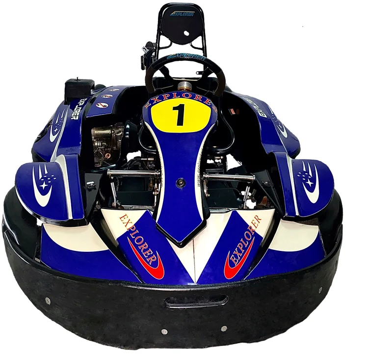 Хит продаж в Китае! Профессиональный Производитель 2-местный Racing корзину Go TS6 Прокат карт с