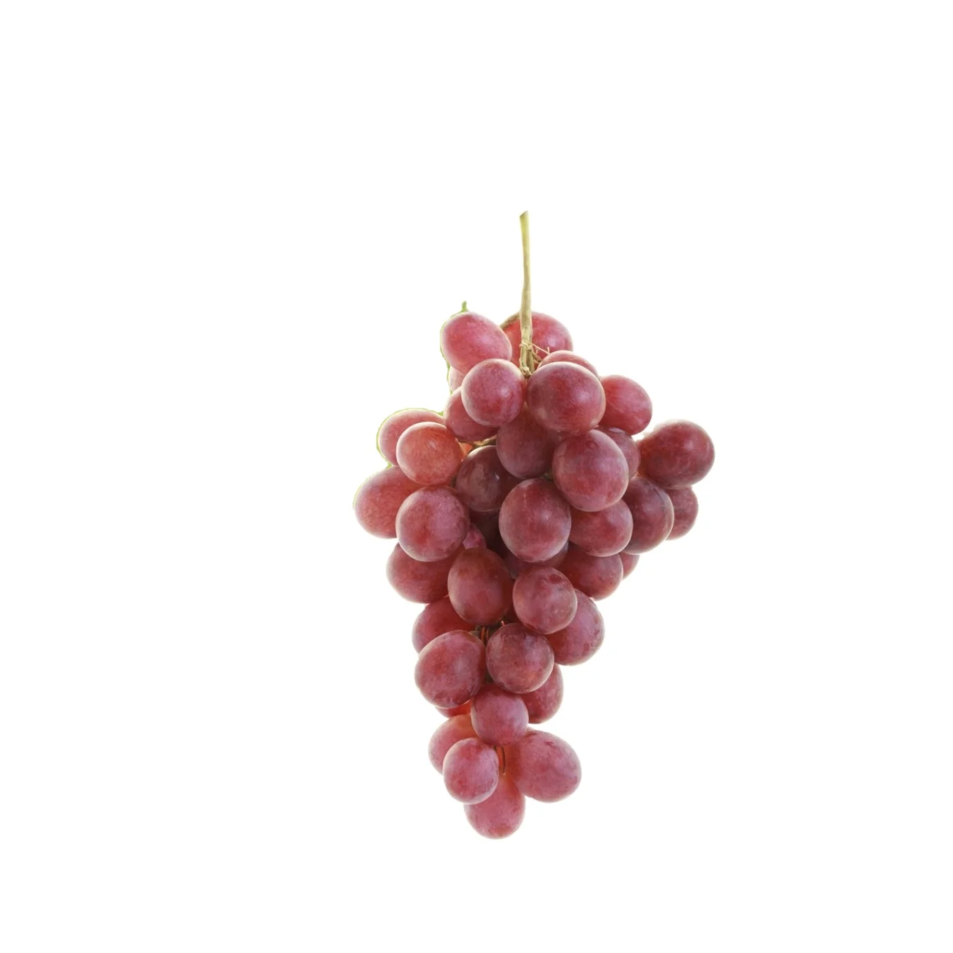 Fresh Organic red globe grapegrapes fruit fresh price shine muscat grape
