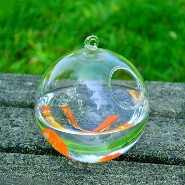 Cheap Price Wholesale Creative Design Small Home Living Room Office Decoration Glass Fish box