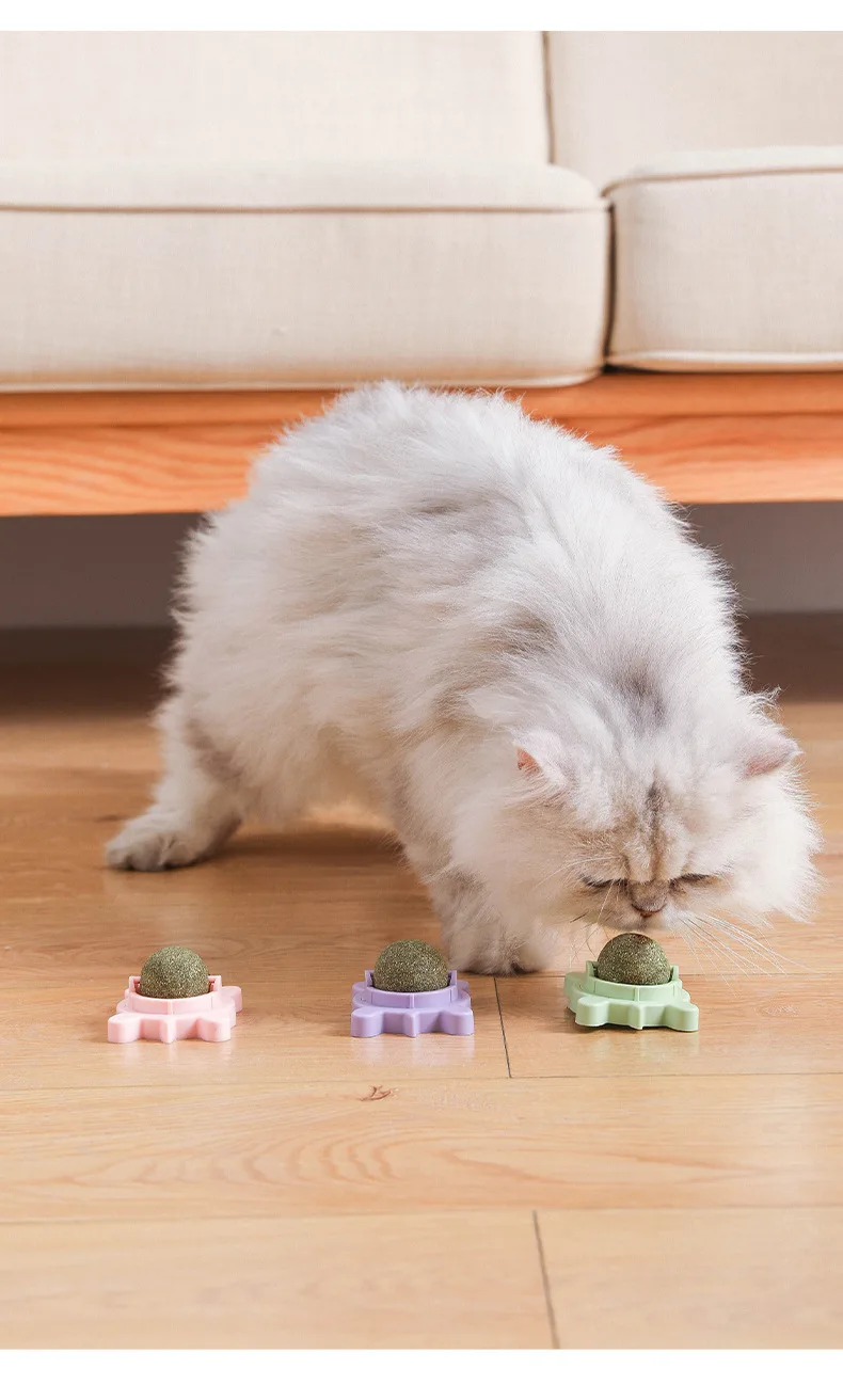 Best-selling pet catnip toy Avocado shape rotary detachable catnip cat interactive chew tooth cleaning toy for cat