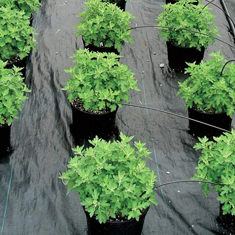PP fabric virgin material with UV 3-5 years using life anti weed mat in garden root barrier