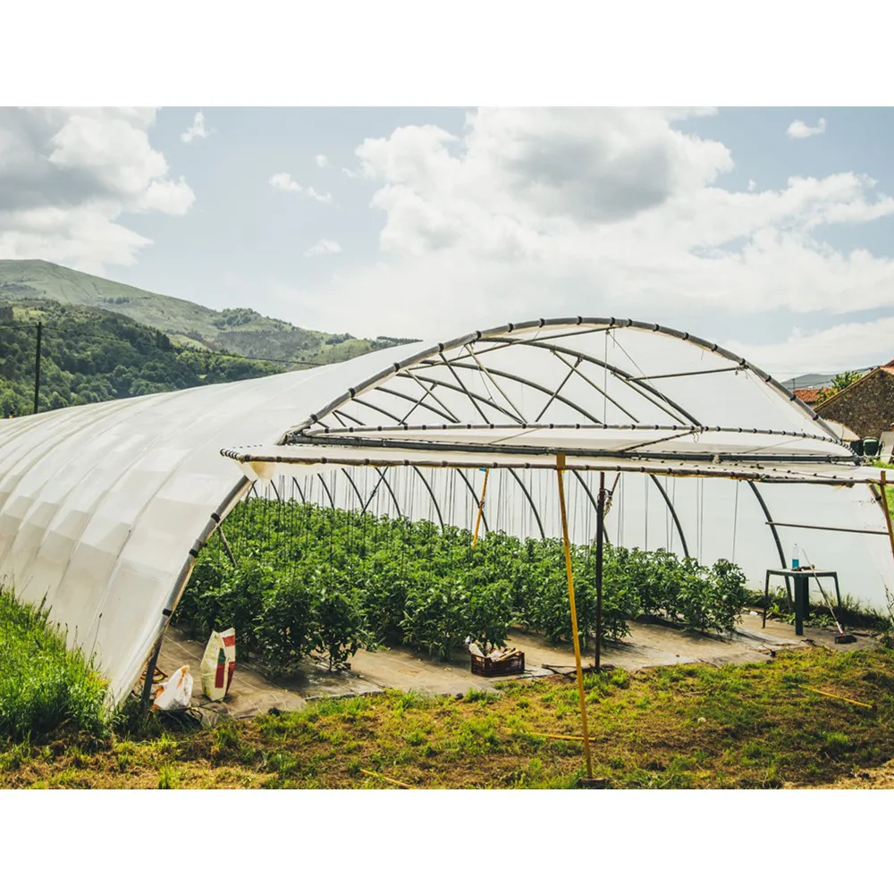 Single-span Greenhouses Agriculture Greenhouse For Planting