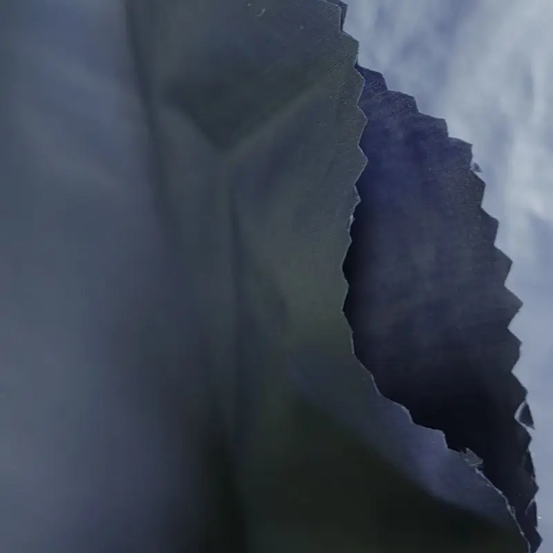 Seamless Emboss Channel Fabric 100% Nylon 20D Tissue Taffeta Double Layer Fabrics For Winter Down Jacket