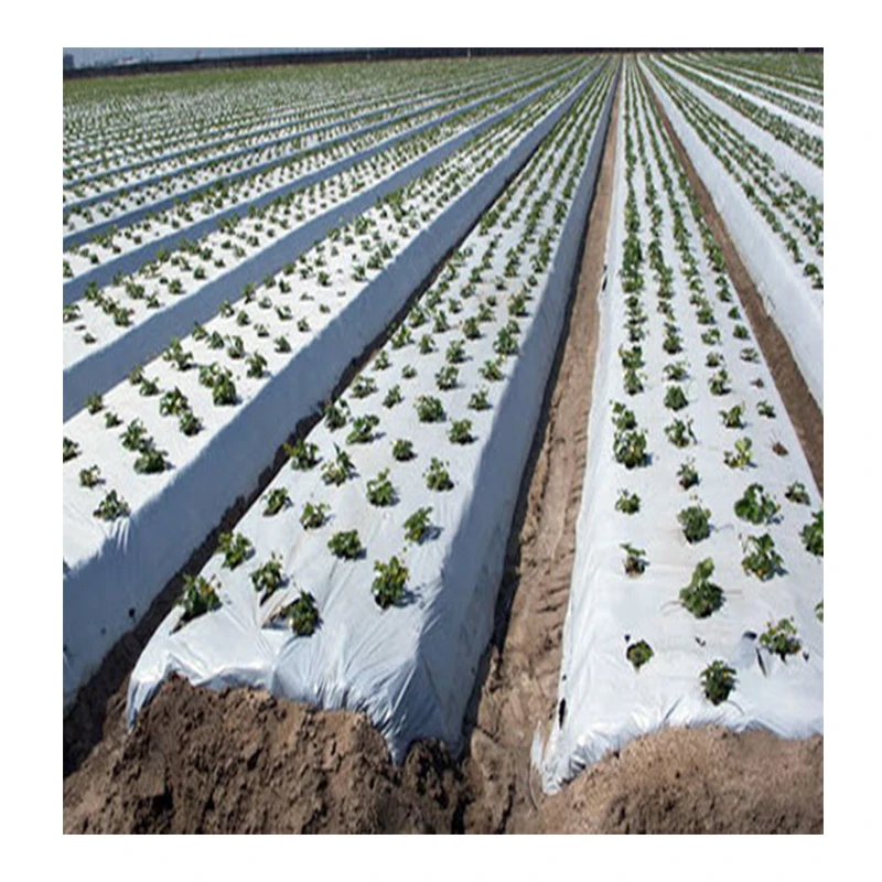 Пластиковая многослойная сельскохозяйственная многослойная пленка