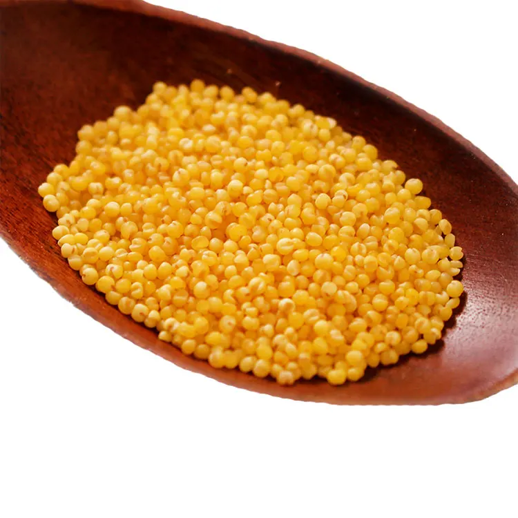 China Wholesale Yellow Pearl Millet Dry Hulled Millet