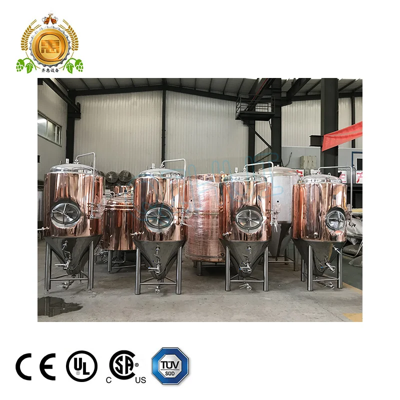 
5BBL Red Cooper Used Brewery Equipment For Sale 