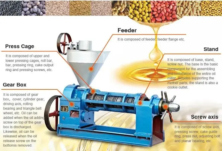 Spiral oil press RL150 high power 800kg/h our peanut sesame flaxseed coconut oil cocoa 380V