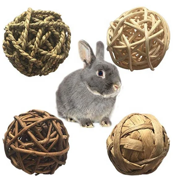 Small Animal Activity Toy Pets Play Chew Toys Bunny Rabbits Guinea Pigs chew ball