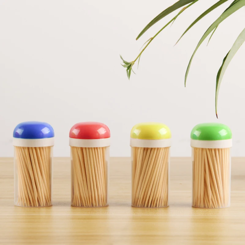 Low MOQ Portable Bamboo Eco friendly two Side Wooden Food sticks Teeth stick Toothpick Tube Holder