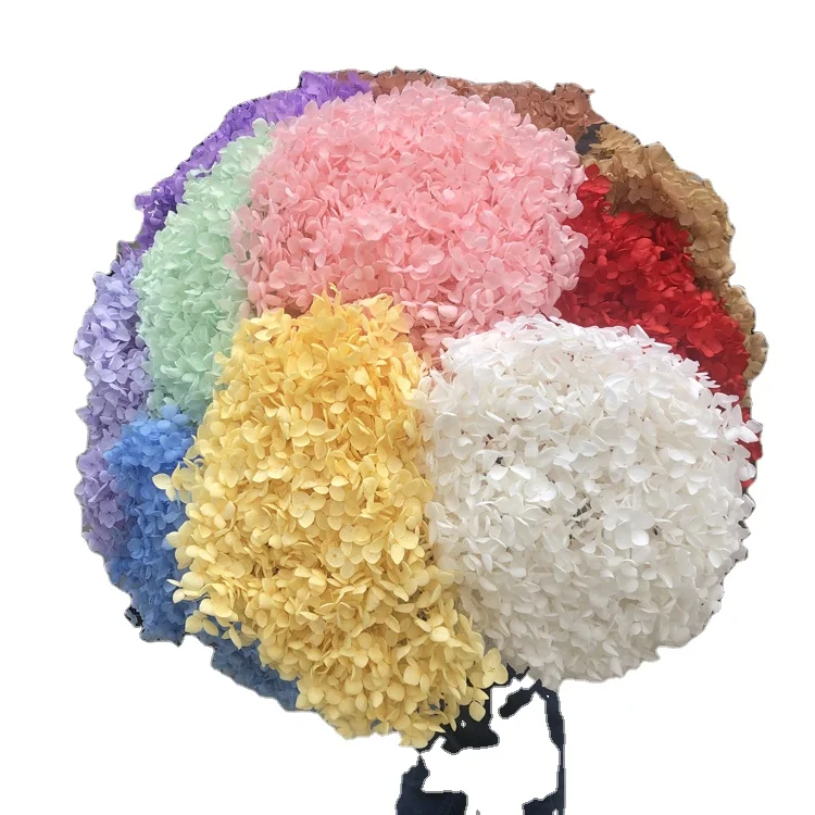 Home Wedding Decorations the Real Touch Natural Dried Hydrangeas flowers artificial Preserved Hydrangeas