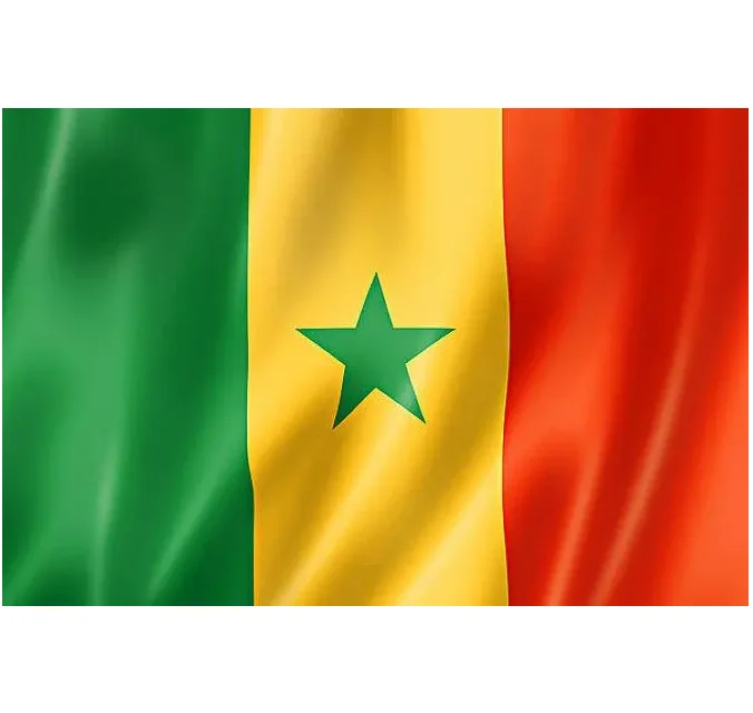 Excellent freight forwarder Cheap shipping rates Strength supplier International freight with the best quotes from China to Sene