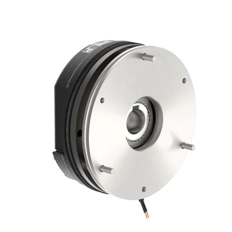 DZS3-05N Electric power brake floodgate