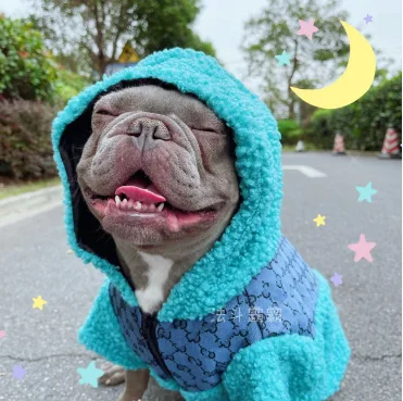 Wholesale Price Outfits Pet Clothes Dog Luxury Warm Cotton Padded Jacket Hoodie Pet Apparel Dog Clothes