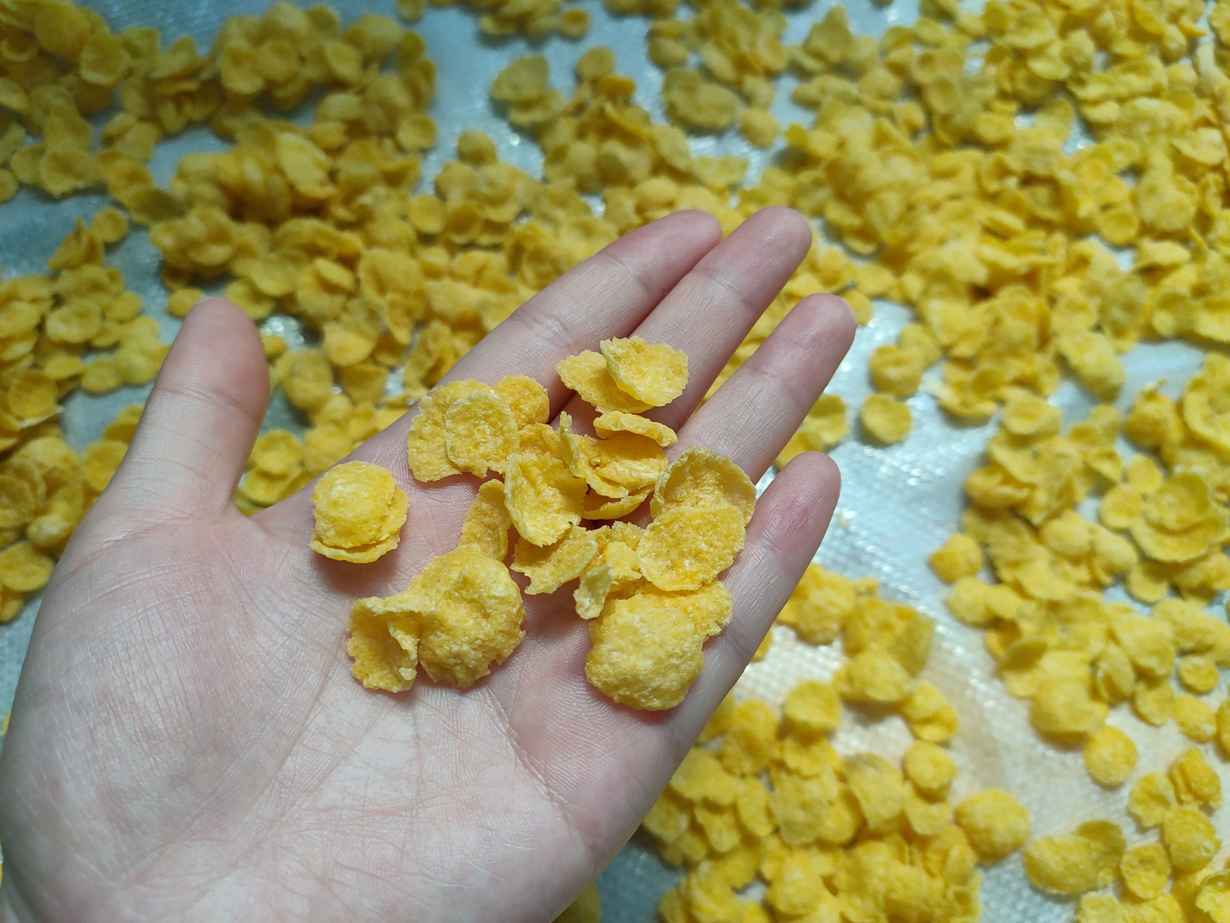 Hot Sale Industrial breakfast cereal corn flakes flaking making machine full automatic breakfast cereal making machine