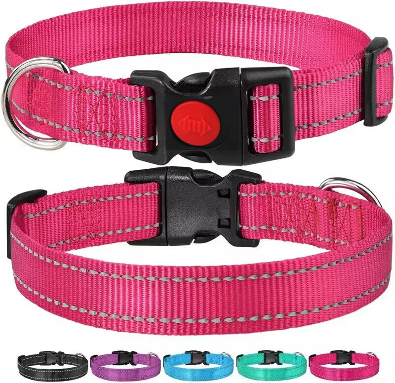 dog collar (16)