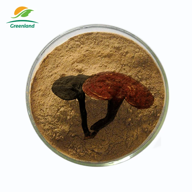 Био и Lingzhi диета пилла тритерпенс негусная японский экстракт грибов порошок рейши чай