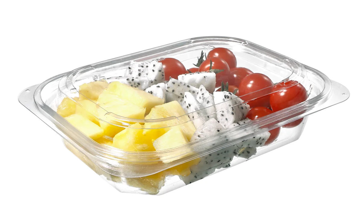 Disposable rectangle Plastic Fruit Salad Container Take away Packaging PET Vegetable salad Box