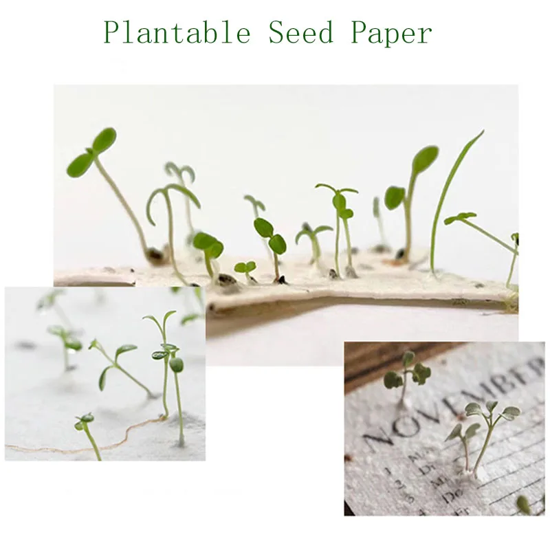 Eco-friendly Promotional Gift Compostable Papers Table Cards Plantable Seed Paper Calendar