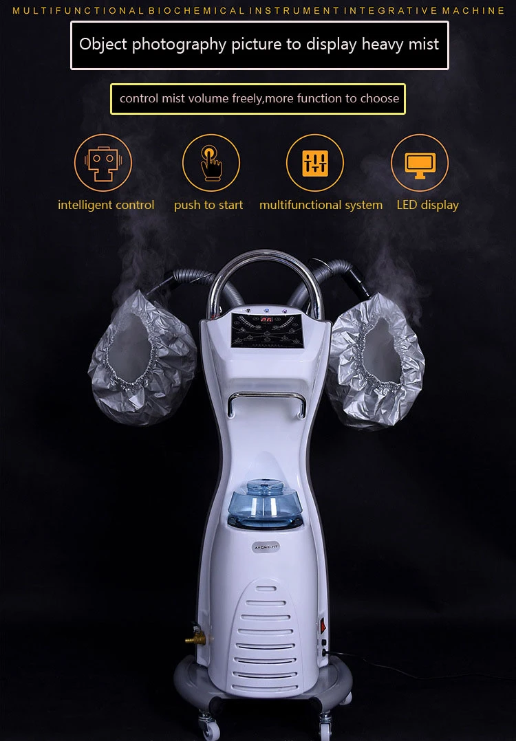Beauty Salon Barber Shop Two-way Professional Multi-function Ozone Spa Care Nano Spray Equipment Micro Mist Hair Steamer