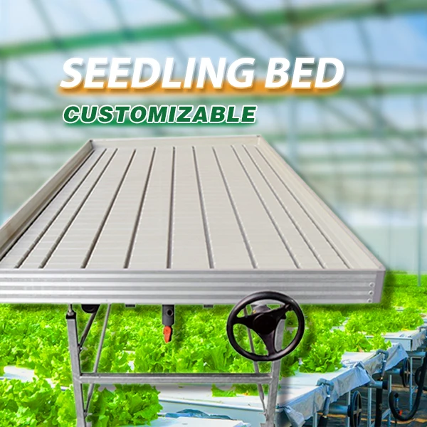 Tables de culture de pepiniere plateaux de drainage dinondation serre commerciale banc roulant flux et reflux