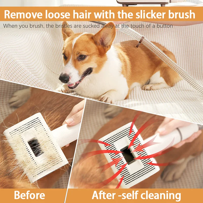 OEM Professional Pet Hairs Grooming Vacuum With 6pcs Kit Accessories Brushes Work For Pet Grooming And Vacuum Cleaner
