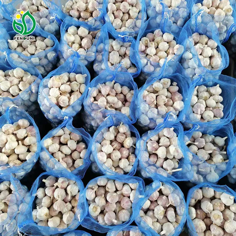 Loosely mesh bag 10kg/20kg 5.5cm-6.0cm ajo alho ail fresh garlic China garlic wholesaler