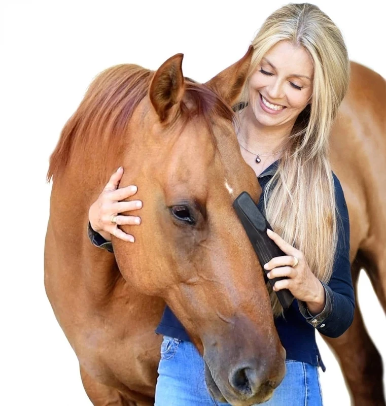 Portable 6 In 1 Beauty Massage Horse Hair Removal Tools Black Horses Dog Pig Pets Grooming