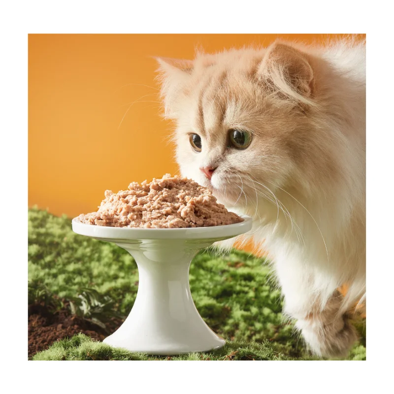 Canned food economic chicken or tuna chunked in sauce 85g/100g POUCH wet food for cat