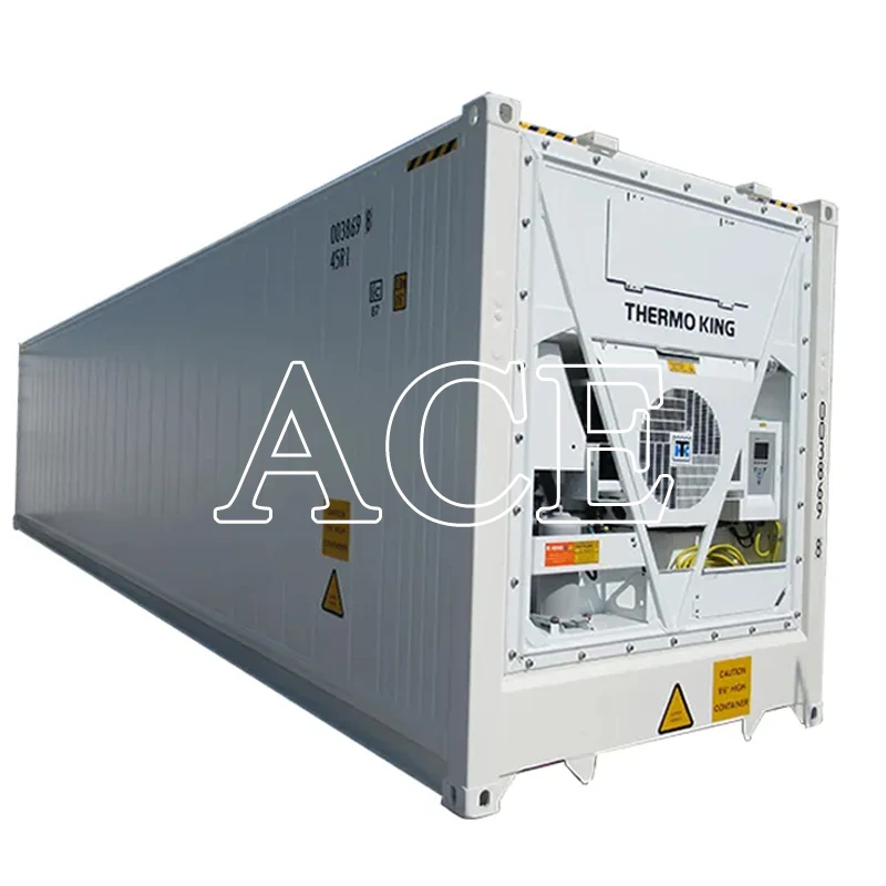 Wholesale Price New 40 ft Length Thermo King Refrigerator Freezer 40ft Reefer Container for Fish or Meat