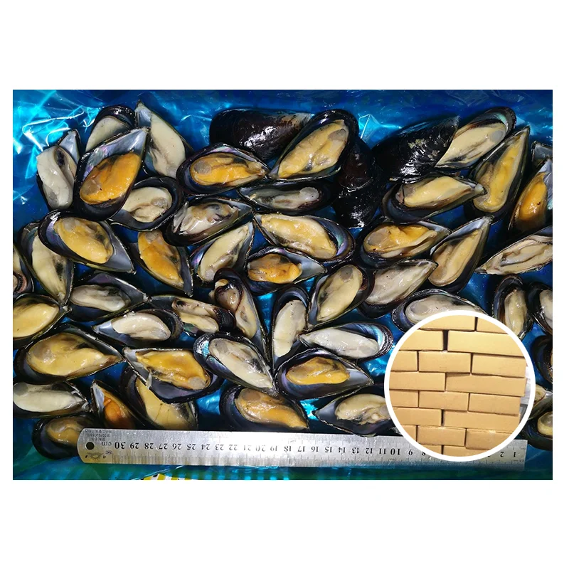 High Grade Frozen Shellfish Seafood Fresh Raw Materials Half Shell Mussel For Export
