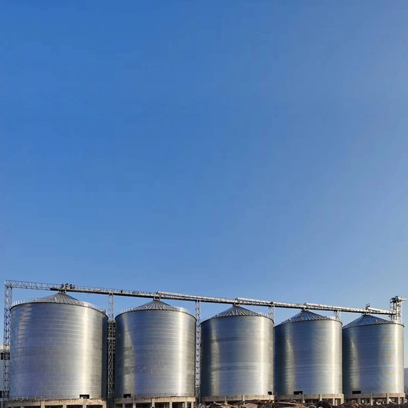 8000 Ton large capacity corn Silos for Grain Storage