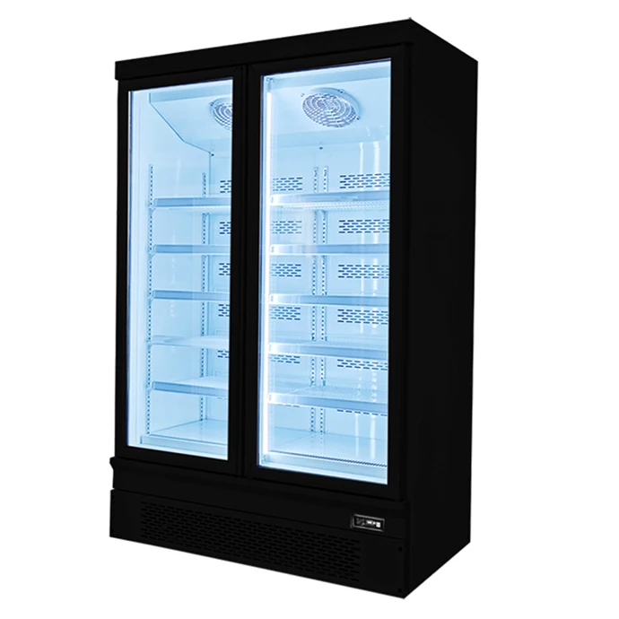 Plug In System Multipurpose Freezer Commercial Glass Door Display Refrigerator for Frozen Food