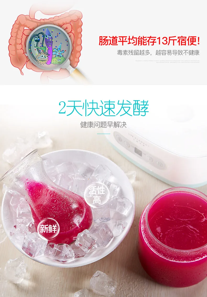 2019 New 2L Glass Container Natto Machine Fermentation Machine Mini Yogurt Maker with Best Price