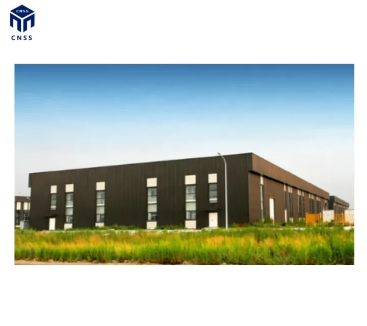 Q355B Engineered Industry Construction Prefabricated Modern Metal Light Frame Structural steel structure buildings