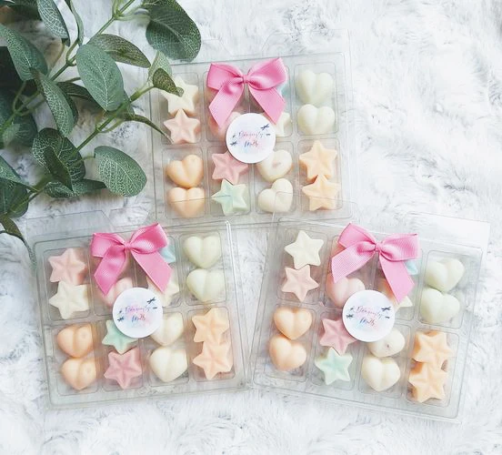 
custom Recyclable Plastic 5 cavity Clamshell PET 8 cells wax melts clamshell packaging 8 Cell HB clamshell 