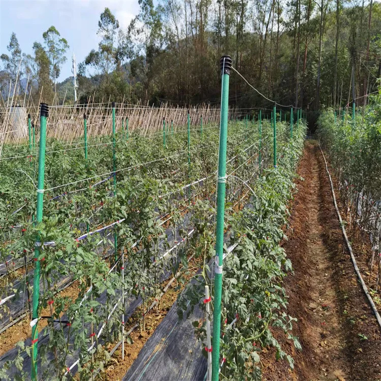 10mm 11mm 12.7mm 16mm 18mm 25mm Fiberglass FRP nursery tree stakes rod for support tree