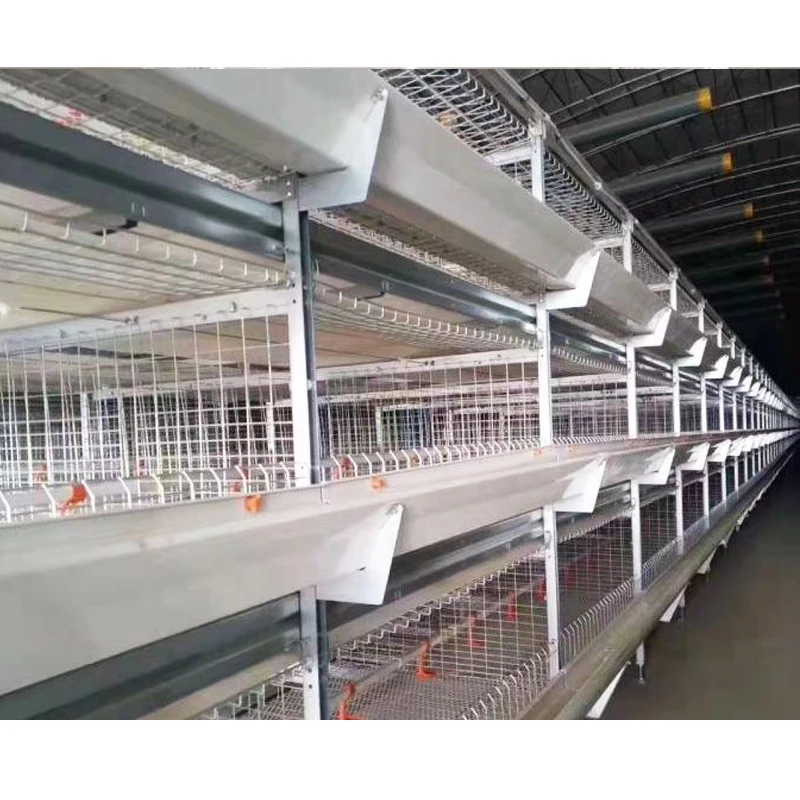 Poultry Farm Equipment Chicken Broiler House Design Broiler Chicken Cage System Broiler Farm Chicken Coop for Sale