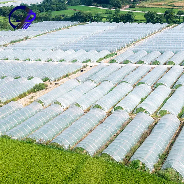 Wholesale Plastic Agricultural Greenhouses Film For Vegetables Flowers Garden Greenhouse Tunnel For Agriculture Green House