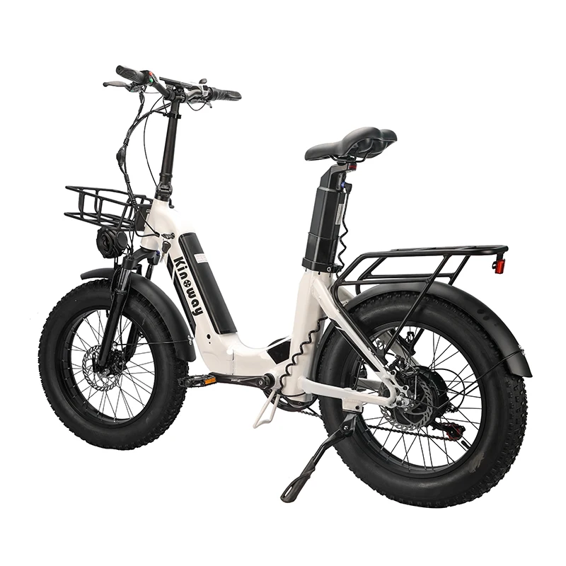 Top rated electric bicycle e bikes radrover 6 plus fat tire electric bike-rad 20 inch retro fat tire electric bike womens