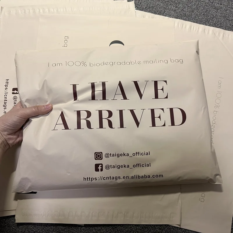 Custom Printed Logo Envelope Mail Bag Clothing Packaging Plastic Poly Mailers Mailing Bags express bags Recyclable