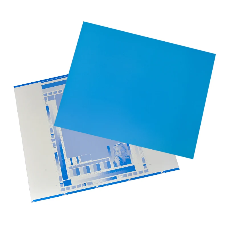 Factory Wholesale Ctcp Positive Agfa Violet CTP Printing Plate