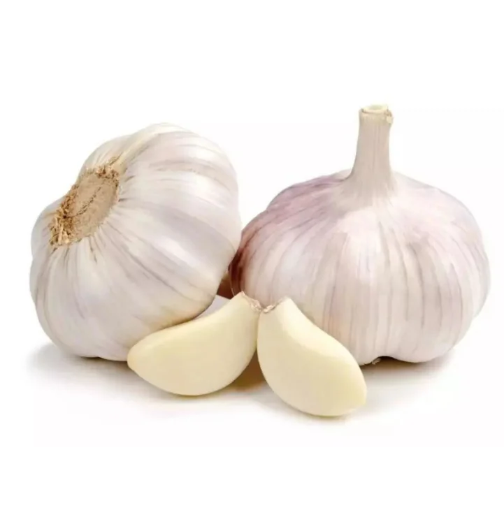 Fresh Normal White Garlic Elephant Garlic Fresh Garlic Cloves Price For Sale