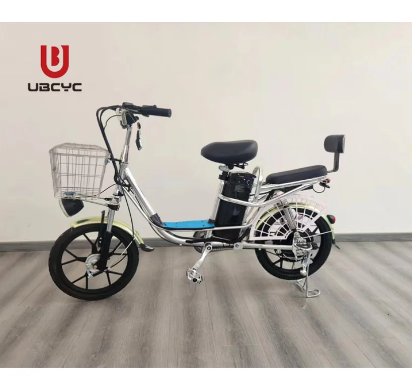 20 inch With Bluetooth Big Tyre Electrical Bicycle Adult Electric Bike