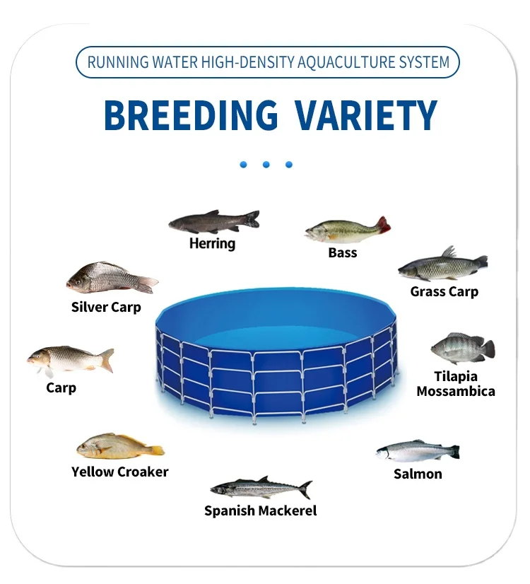 Aquaculture Tilapia Planting Flowing Water Culture System Fish and Shrimp Farm Fish Farming Equipment